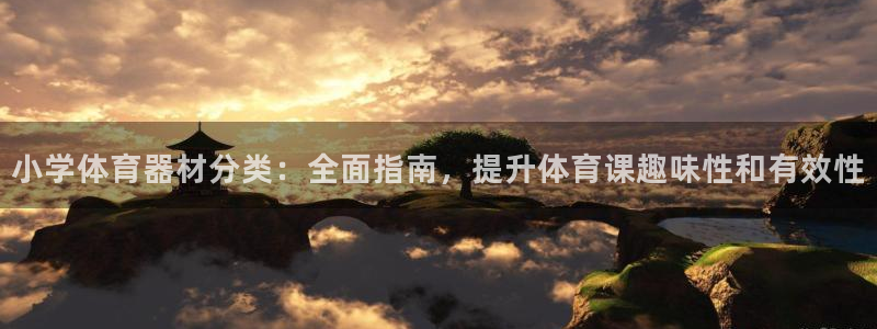 辉达娱乐是不是赚钱快：小学体育器材分类：全面指南，提