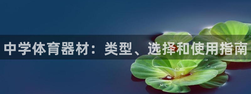 辉达娱乐平台官网登录：中学体育器材：类型、选择和使用