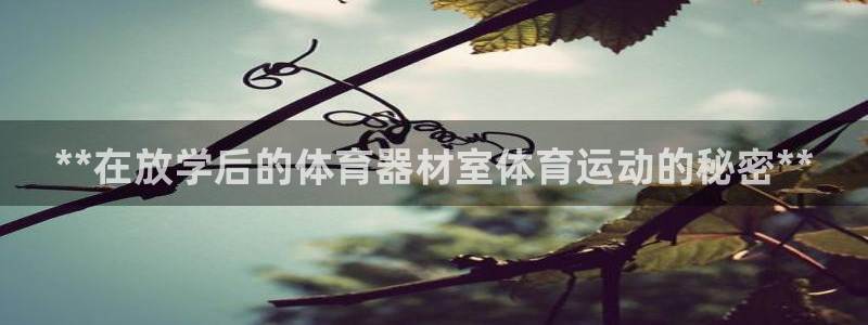 辉达平台主管：**在放学后的体育器材室体育运动的秘密