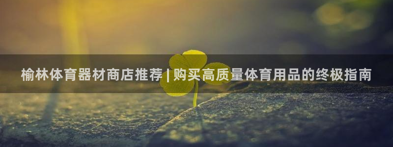 辉达辉煌：榆林体育器材商店推荐 | 购买高质量体育用